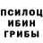 Галлюциногенные грибы Psilocybe Andrius T
